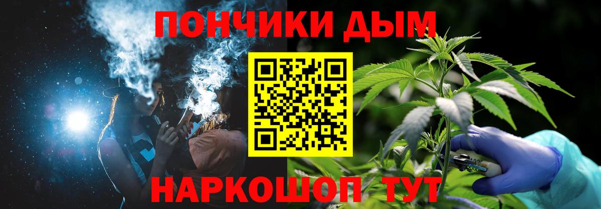 Бошки марихуана THC 21%  Вход с VPN  Сальск  Бошки Шишки планчик  Бошки Шишки сатива 